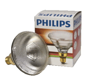Philips Infrared Bulb - Clear or Red